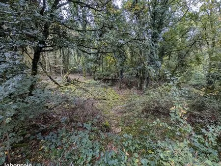 parcelles foret proche dijon idéal terrain de loisir