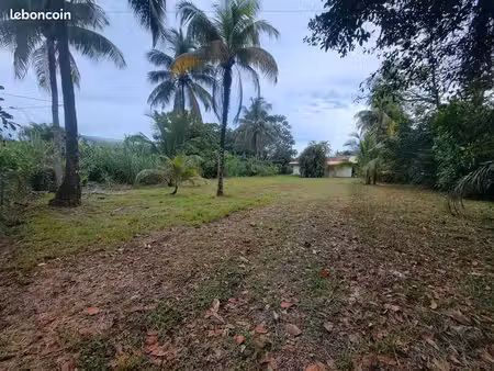 terrain 1 702 m² remire montjoly