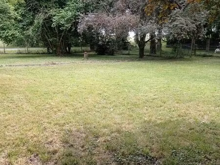 terrain arboré