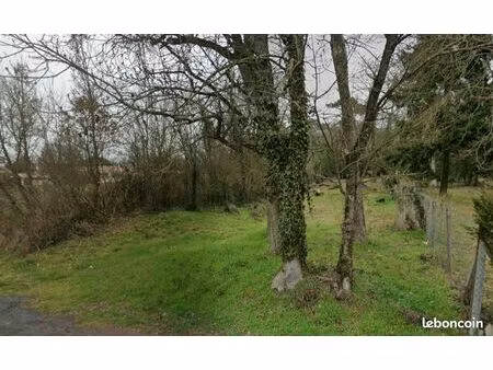 terrain constructible