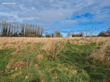 terrain agricole quasi 2 hectares