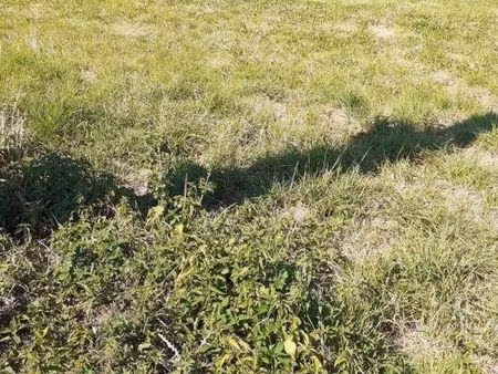 terrain 1 950 m² tamnies