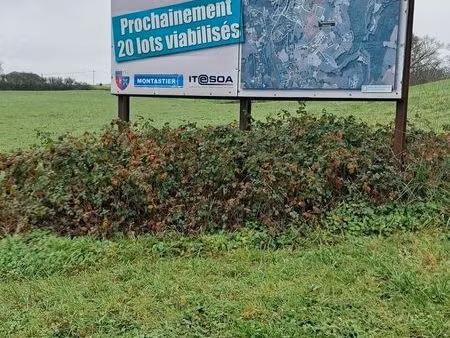terrain 24000 m² terrasson-lavilledieu