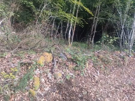 maison a rénover