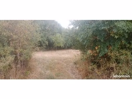 foret de grands arbres avec ruisseau commune d'ars