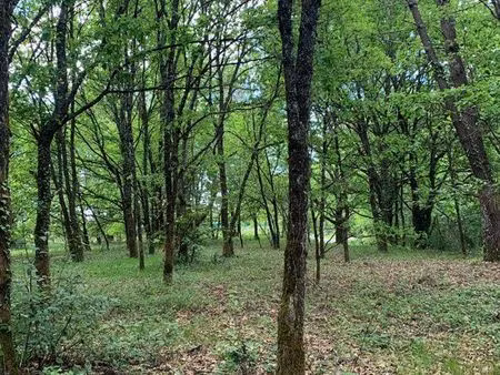 terrain à bâtir