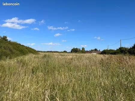 terrain agricole  idéal  animaux
