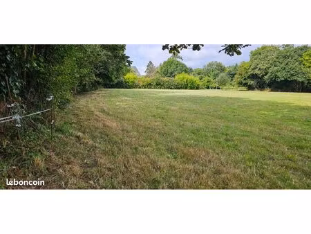 terrain 5534m2