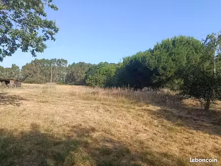 vente terrain st lys