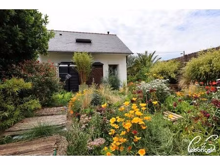 maison 3 pièces 60 m²