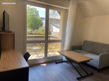 t1bis proche centre  libre  traversant