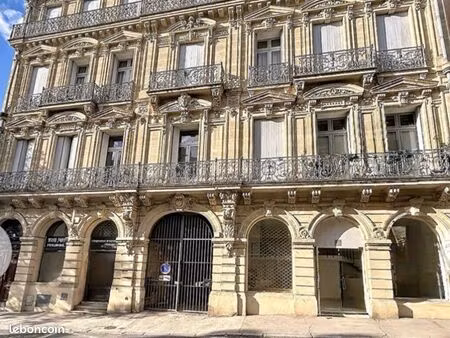 local professionnel  240 m²