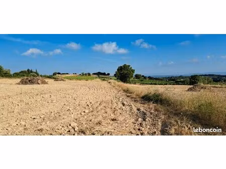 vends terrain agricole ou de loisir avec un cabanon de 5m2 à saint pons de mauchiens