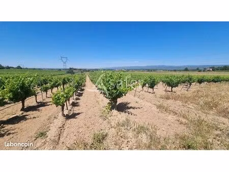 terrain 70893 m² olonzac