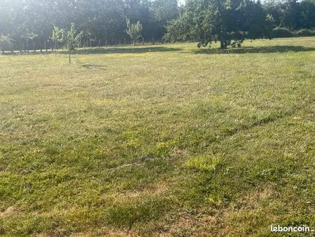 terrain constructible