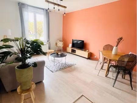 grand appartement lumineux plein centre ville