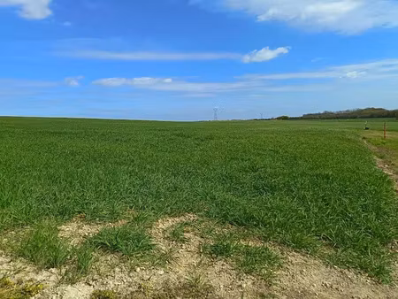 vente terrain 336 m² à puy-du-lac (17380)  23 600 €