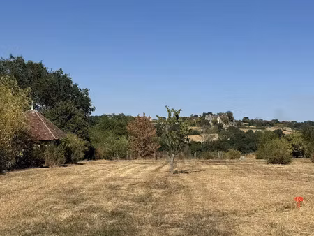 vente terrain 3196 m² à lys-saint-georges (36230)  29 000 €