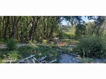 vente terrain futé 25000m