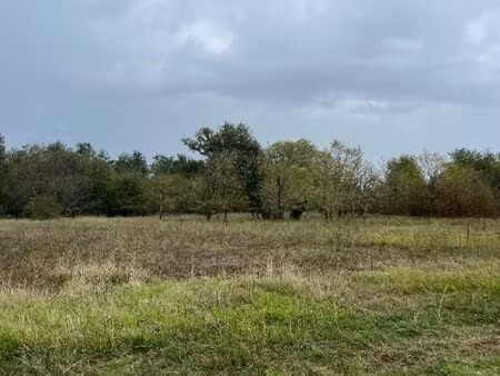 terrain 752 m² cezac