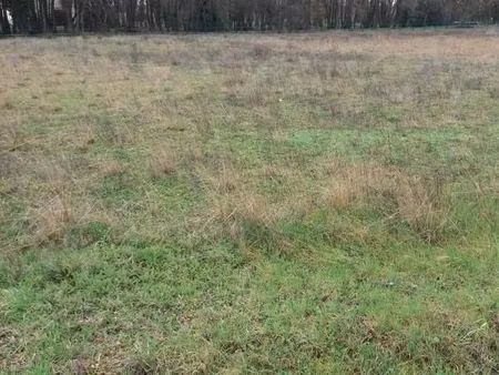 terrain 800 m² bonnetan