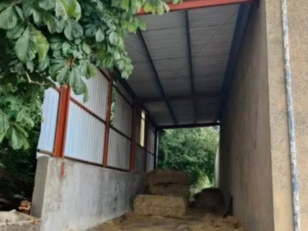 hangar / local professionnel