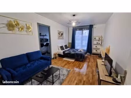 appartement meublé refait à neuf  hyper centre de blois  proche gare et château royal