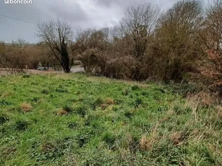 terrain 562 m² oree d anjou