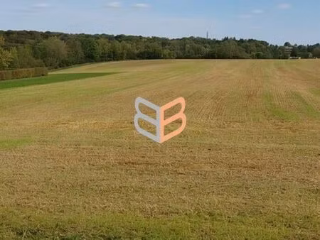 terrain 1260 m² pierrepont