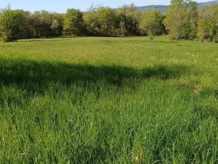 terrain 7435m2