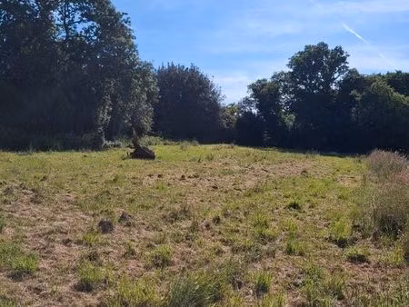 terrain déjà viabilisé bourg de noyalo