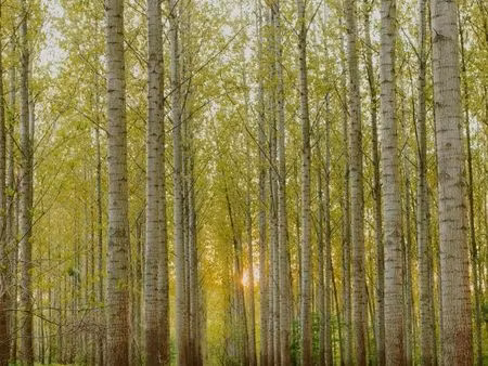 terrain 19 m² varinfroy