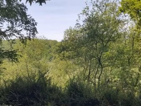 maisonnette 16 m2  pleine campagne  tranquille