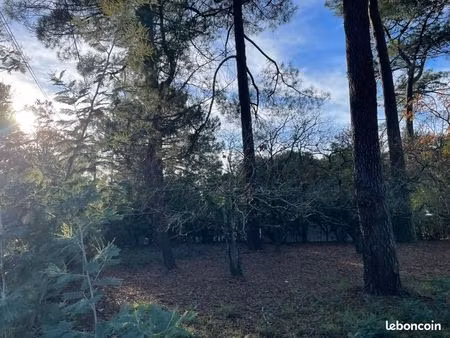 terrain 695 m² lacanau