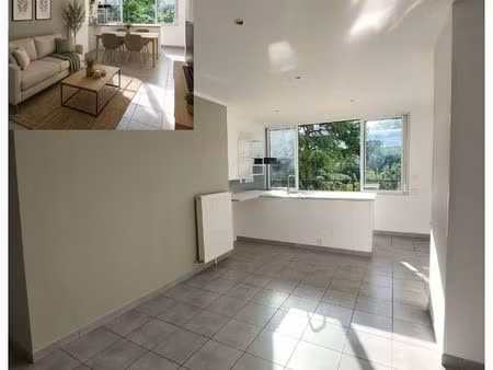 centre ville - appartement lumineux rénové avec cuisine ouvert