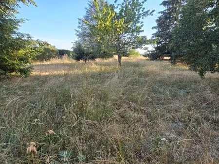 terrain contructible - le riou chaspinhac