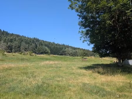 terrain 1068 m² saint-jeures