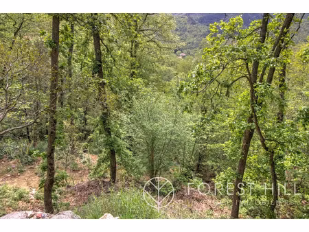 vente terrain 2332 m² à maureillas-las-illas (66480)  49 000 €