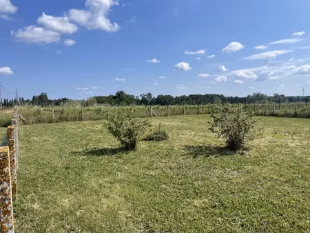 vente terrain 800 m² à civrac-de-blaye (33920)  56 000 €