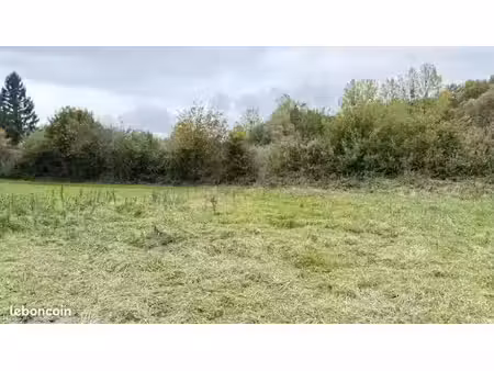 vente terrain 600 m² à wirwignes (62240)  69 000 €