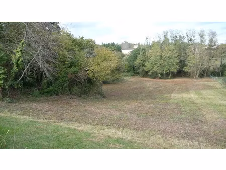 vente terrain à batir 4000 m² à naujan-et-postiac (33420)  74 000 €