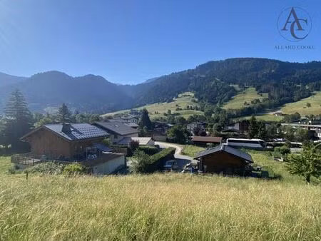 terrain de 1630 m2 - praz-sur-arly  auvergne-rhône-alpes