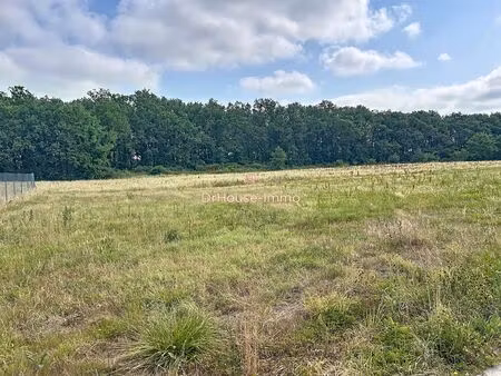 terrain vierge à saisir à cazères-sur-l'adour