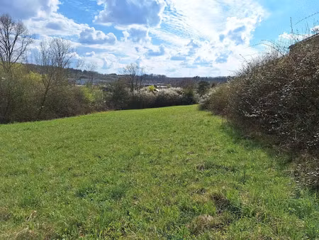 vente terrain 1484 m² à miserey-salines (25480)  118 700 €