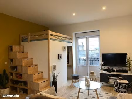 loft meublé 34m2 jardin des plantes