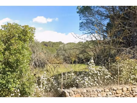 vente terrain 740 m² à bizanet (11200)  109 900 €