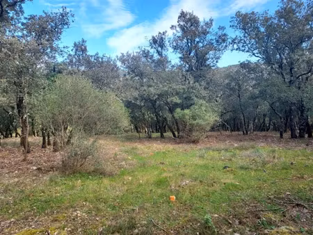 vente terrain 1900 m² à sainte-anastasie-sur-issole (83136)  136 000 €