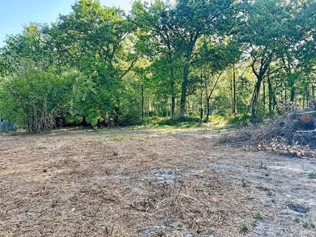 vente terrain 1117 m² à soustons (40140)  262 500 €