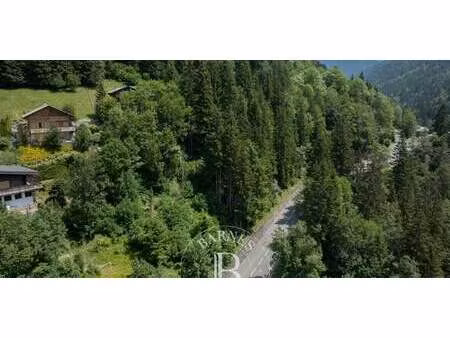 terrain morzine (74)