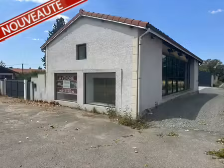 vente locaux professionnels 8 pièces 256 m² à feurs (42110)  238 000 €